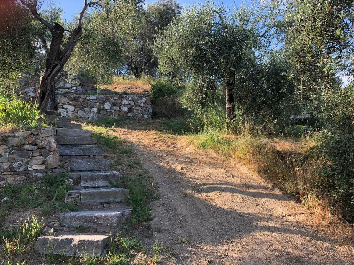 Villa Succo Sestri Levante Esterno foto